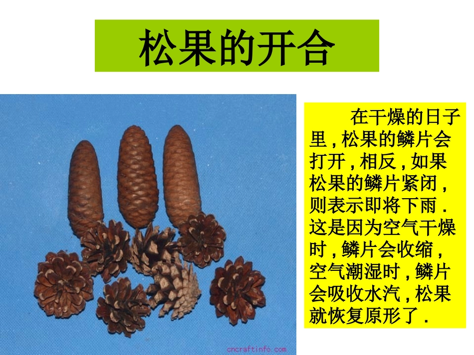 生物也能预报天气_第3页