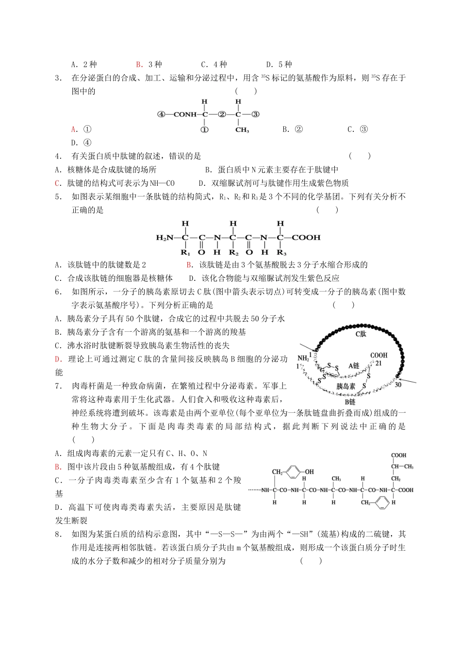 高三生物 蛋白质复习学案-人教版高三全册生物学案_第3页