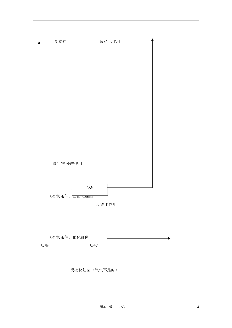 高一生物 总结氮在生态系统中的循环路径精华学案_第3页