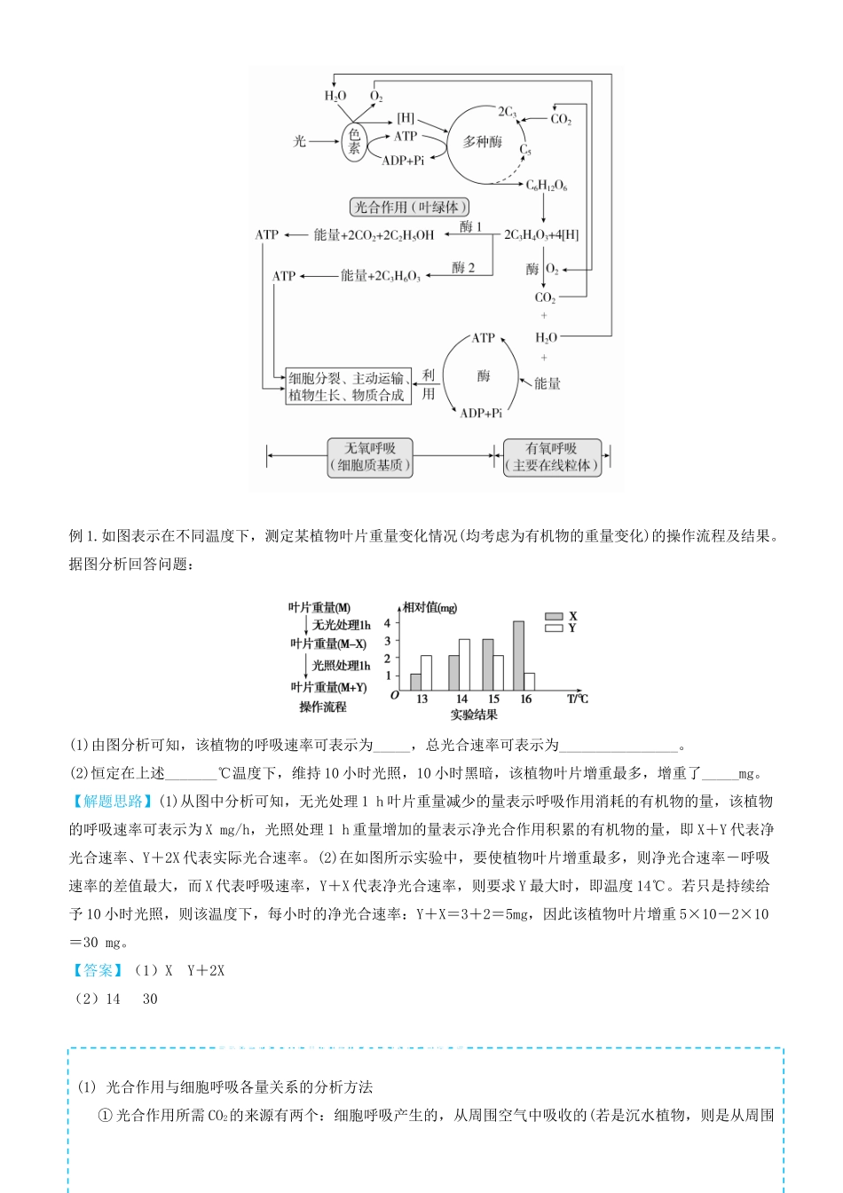 高考生物二轮复习 专题4 光合作用和细胞呼吸学案-人教版高三全册生物学案_第2页