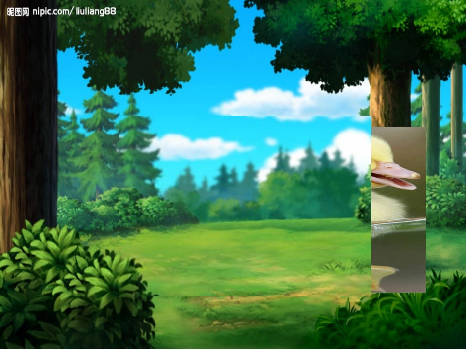 小动物学本领_第3页