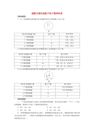 高中生物 第2章 减数分裂和有性生殖 微专题突破 减数分裂形成配子的个数和种类学案 苏教版必修2-苏教版高一必修2生物学案
