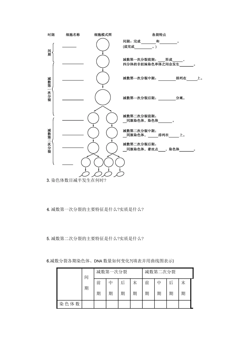 高中生物 2.1 减数分裂和受精作用（1）学案 新人教版必修2-新人教版高一必修2生物学案_第3页