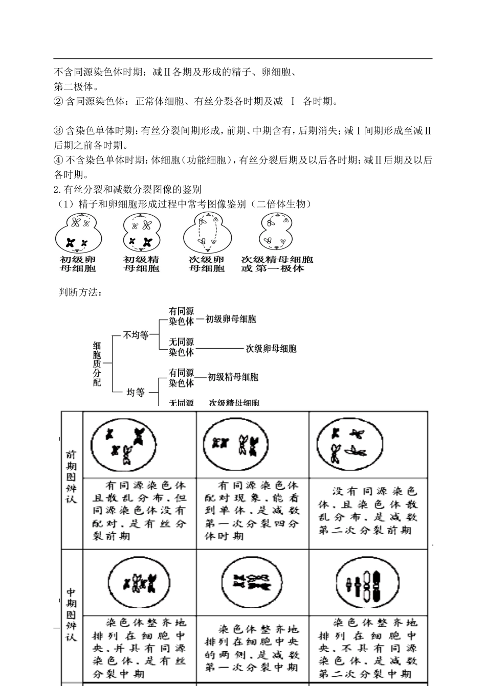 高三生物第二轮复习 专题三 细胞分裂预习案-人教版高三全册生物学案_第3页