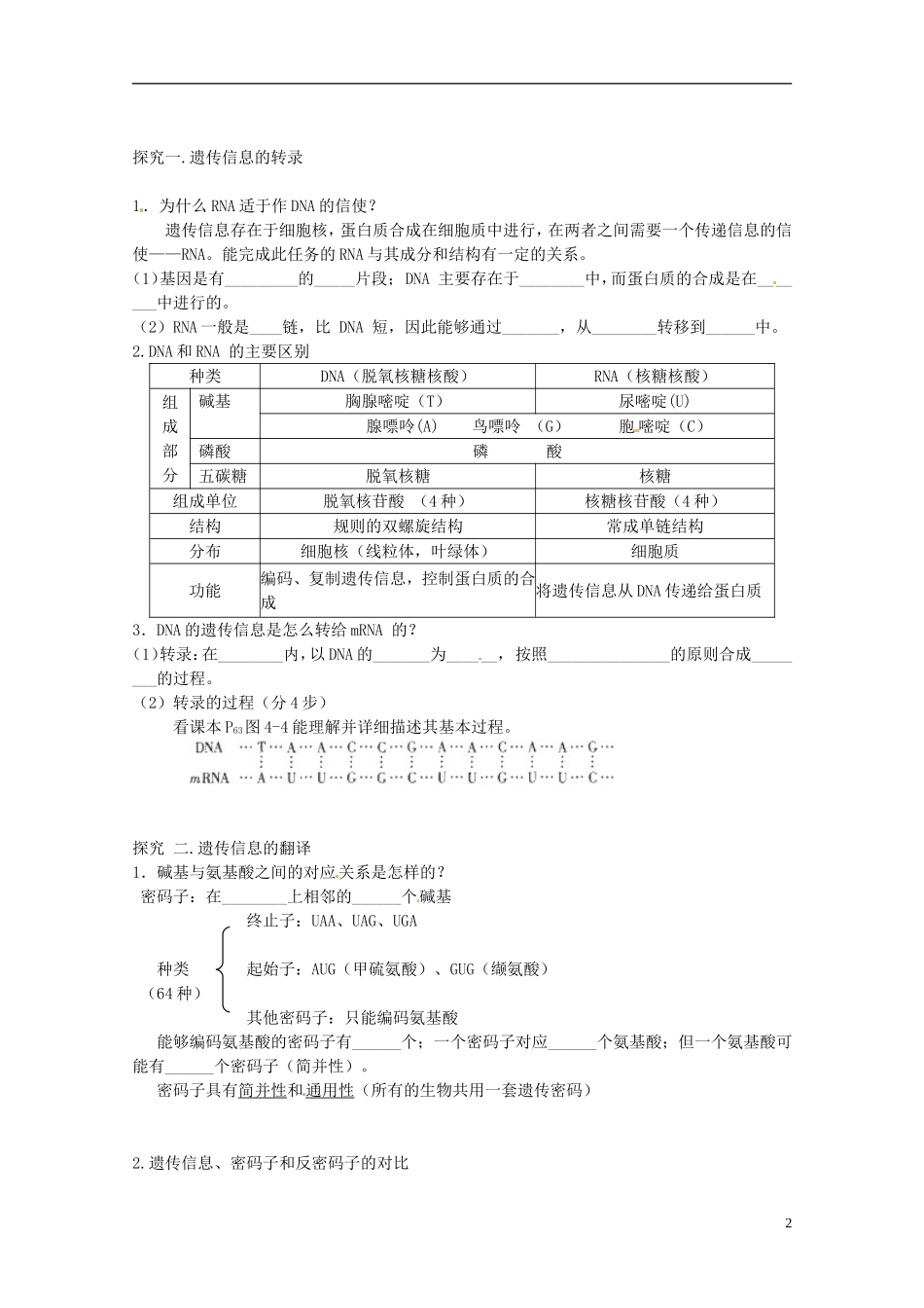 高中生物 4.1基因指导蛋白质的合成学案 新人教版必修2-新人教版高一必修2生物学案_第2页