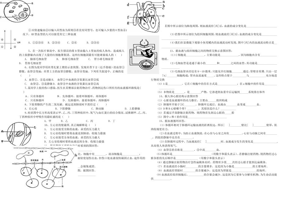 第四章人体内的物质运输复习_第2页