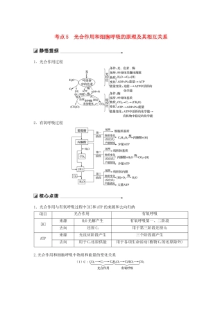 （江苏专版）高考生物二轮增分策略 专题二 细胞代谢 考点5 光合作用和细胞呼吸的原理及其相互关系学案-人教版高三全册生物学案