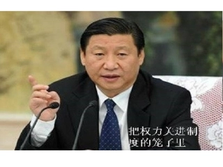 美国联邦制共和政体