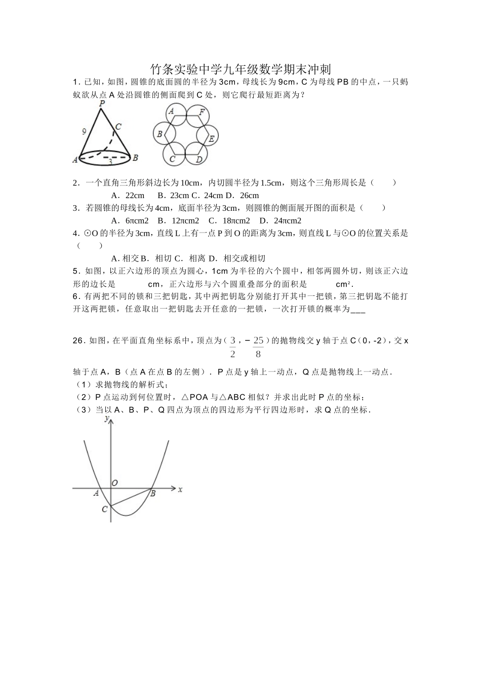 竹条实验中学九年级数学期末冲刺_第1页