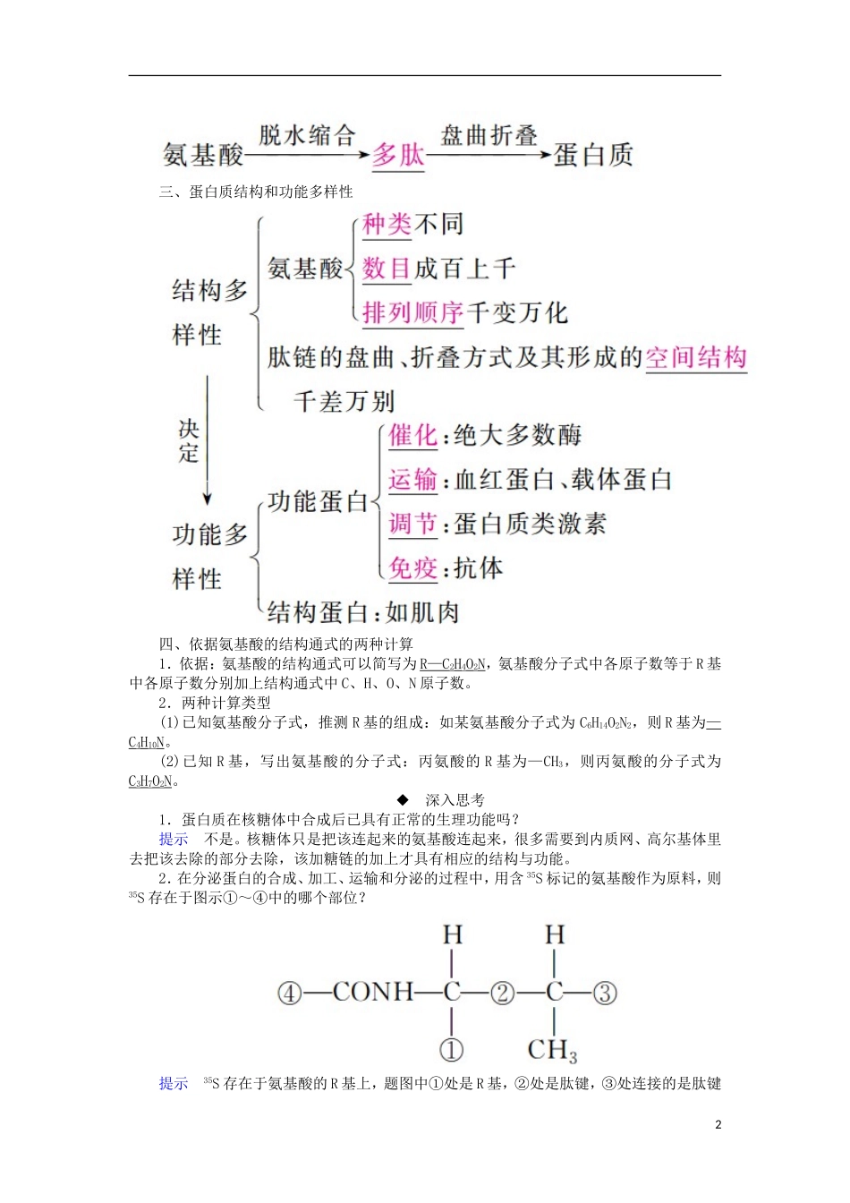（全国版）高考生物一轮复习 第3讲 生命活动的主要承担者——蛋白质培优学案-人教版高三全册生物学案_第2页