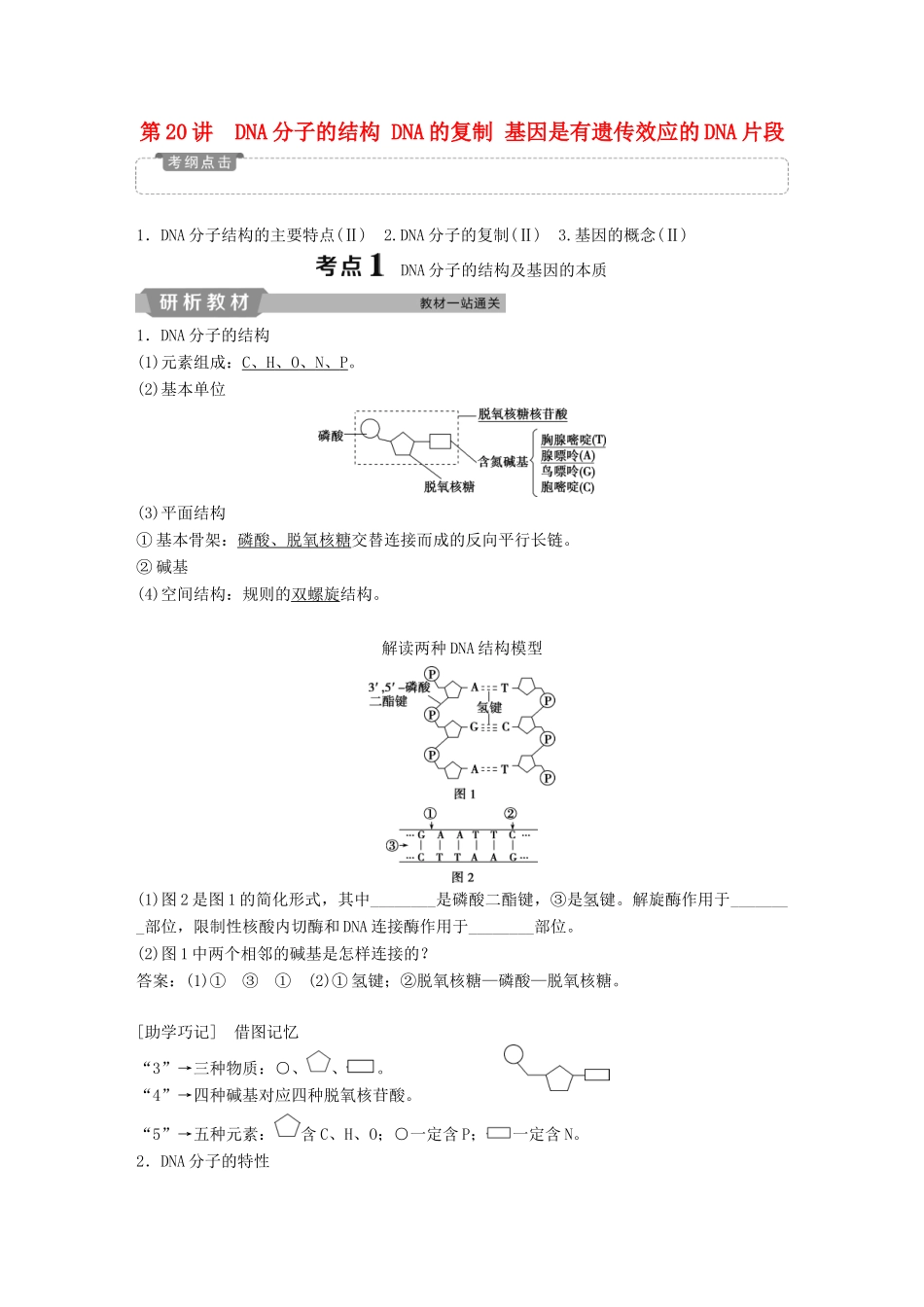 高考生物一轮复习 第六单元 遗传的物质基础 第20讲 DNA分子的结构 DNA的复制 基因是有遗传效应的DNA片段学案-人教版高三全册生物学案_第1页