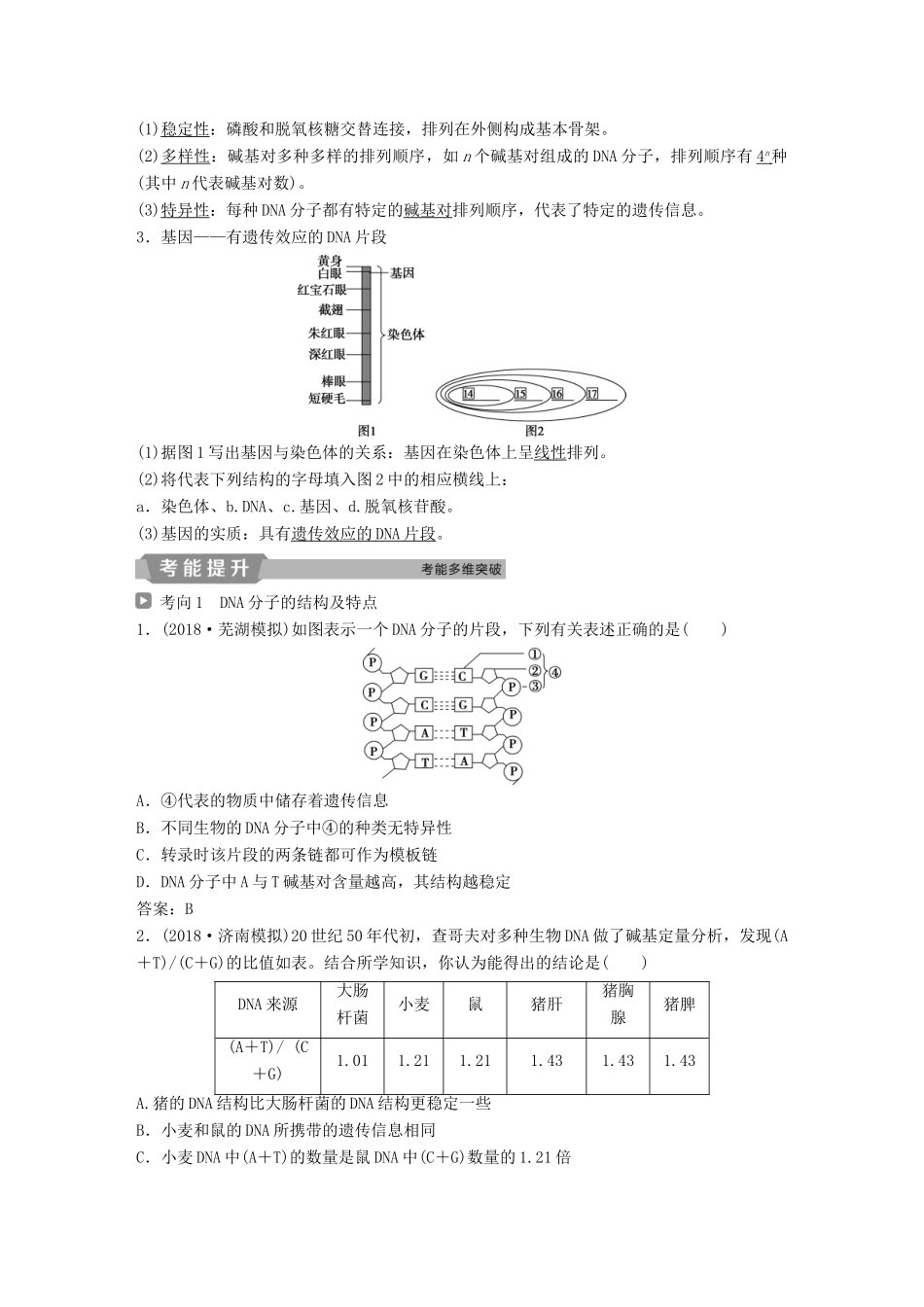 高考生物一轮复习 第六单元 遗传的物质基础 第20讲 DNA分子的结构 DNA的复制 基因是有遗传效应的DNA片段学案-人教版高三全册生物学案_第2页