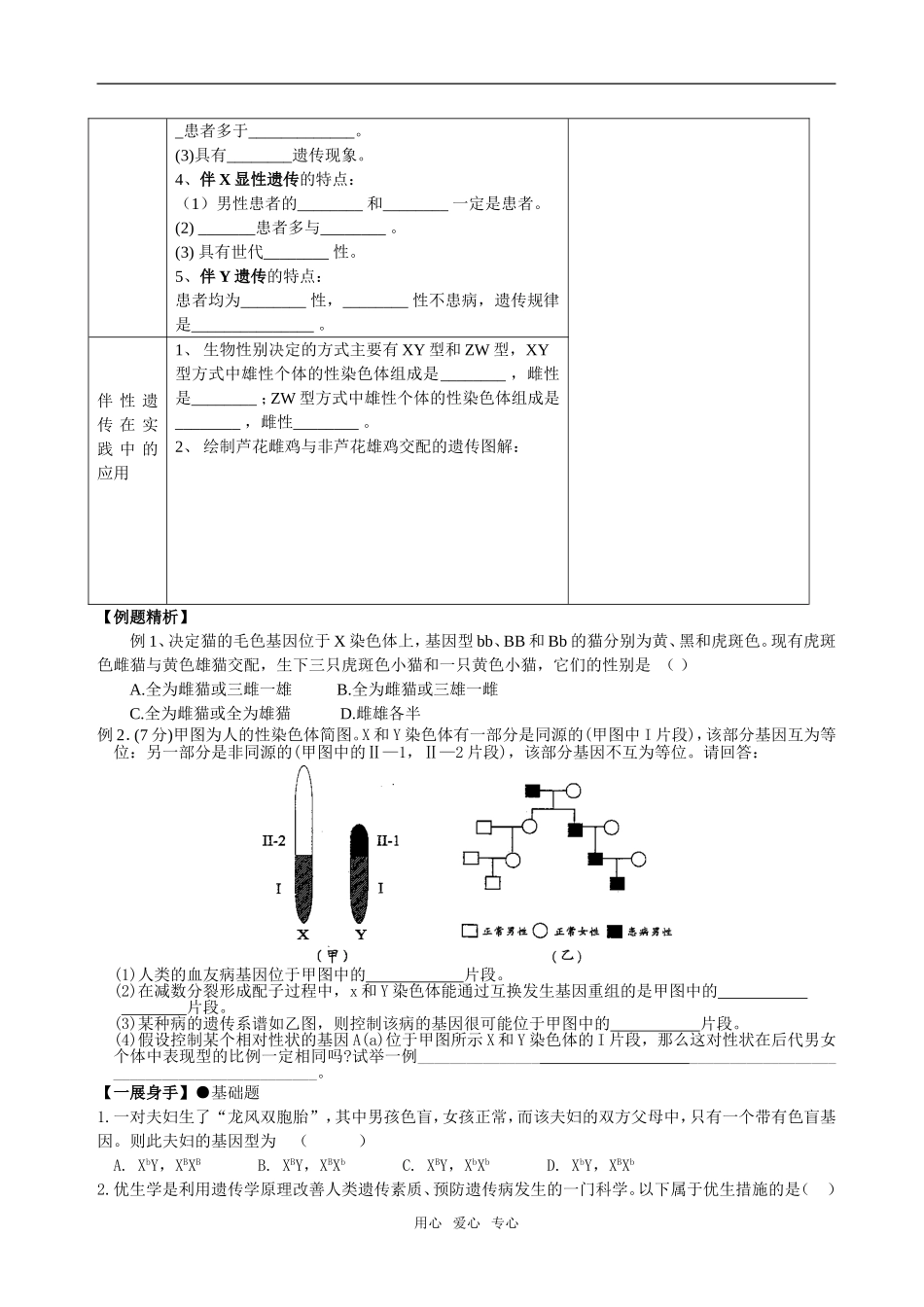 2.3伴性遗传06_第2页