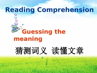 阅读理解--猜测词义