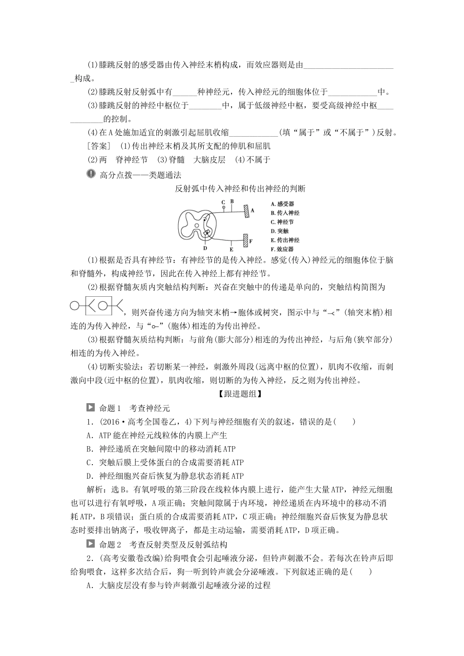 （全国）高考生物大一轮复习 第八单元 生命活动的调节 第30讲 通过神经系统的调节学案-人教版高三全册生物学案_第3页