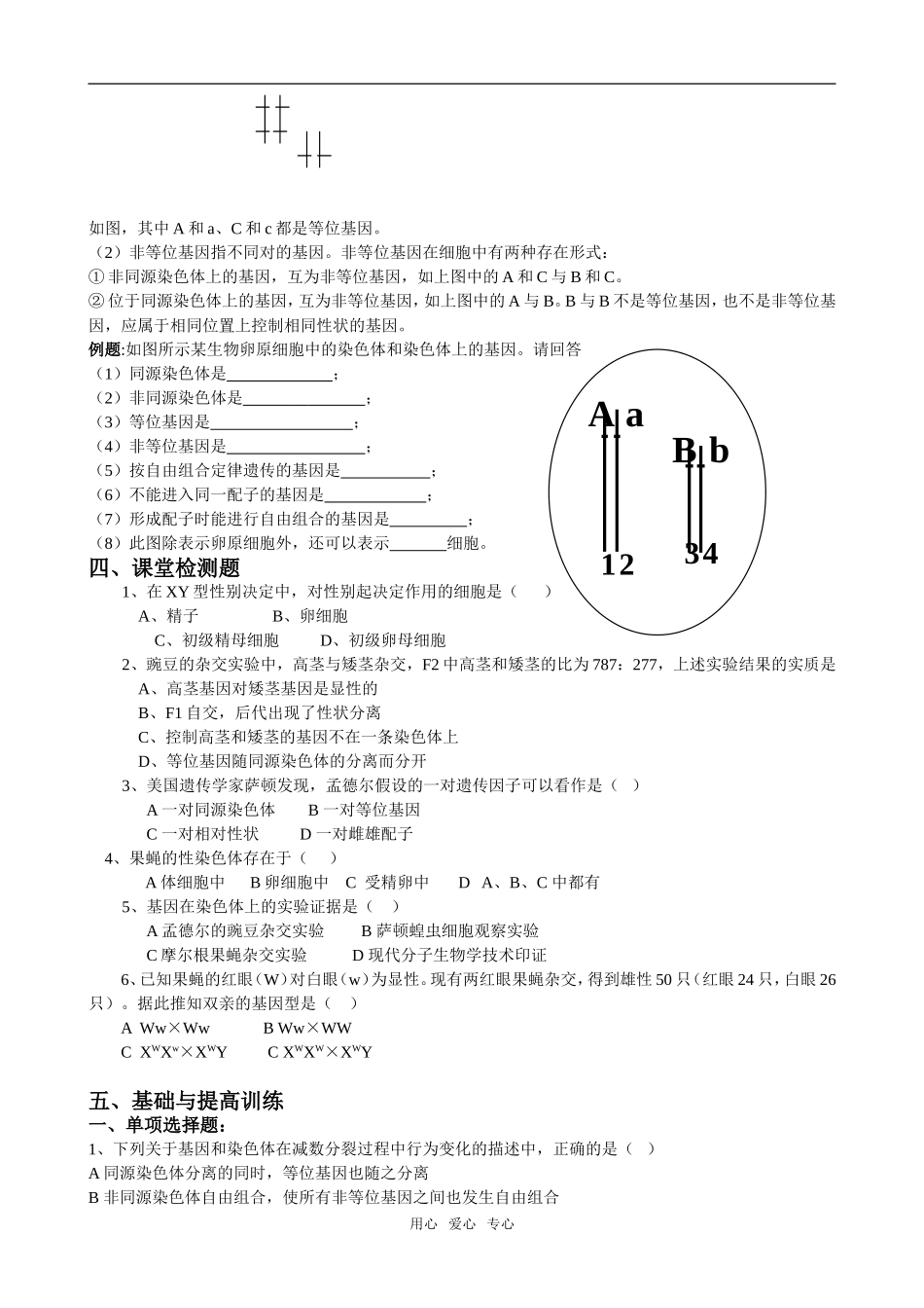 4孙钱民灌中-基因在染色体上_第2页
