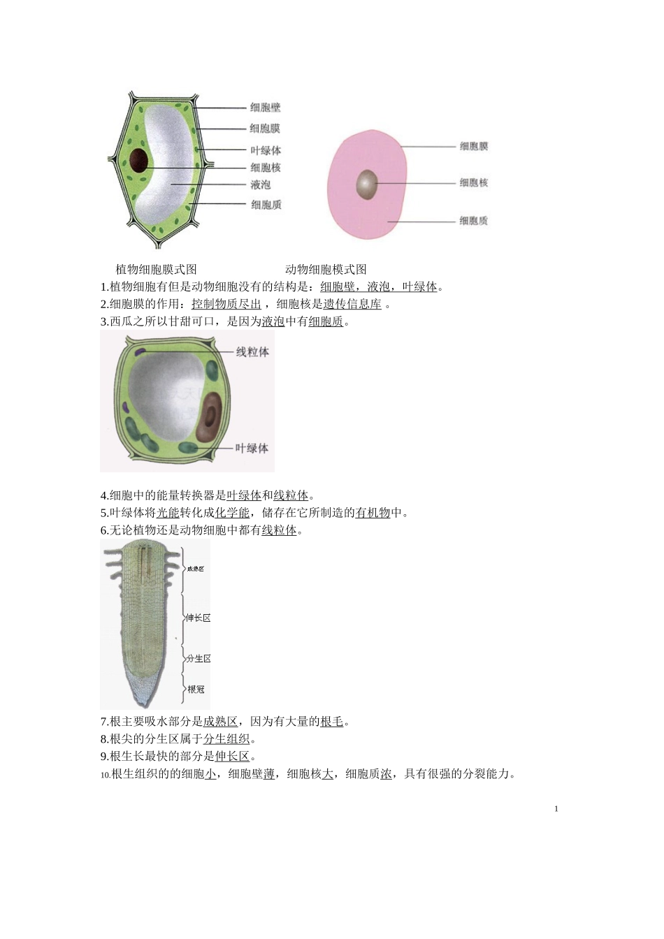 初中生物图专题(附题目)_第2页