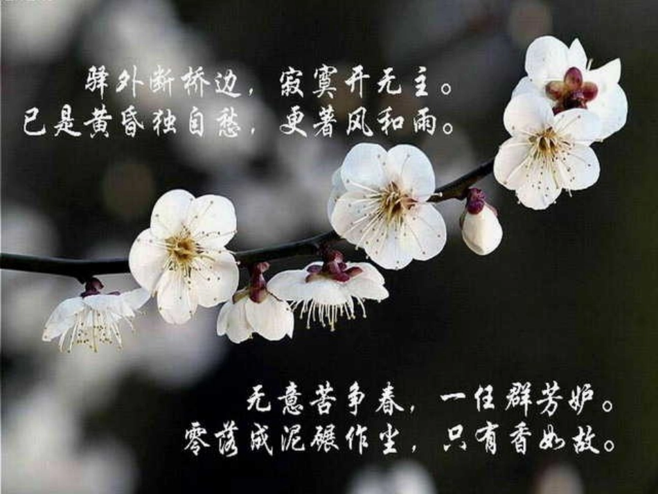 卜算子·咏梅课件_第3页