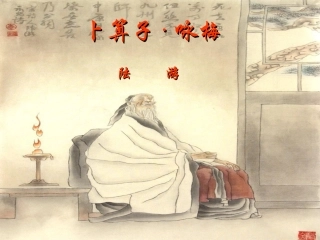 卜算子·咏梅课件