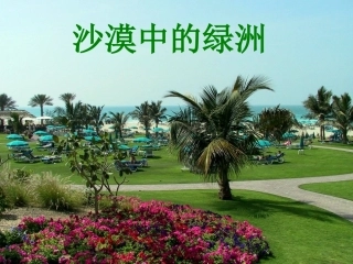 《沙漠中的绿洲》课件