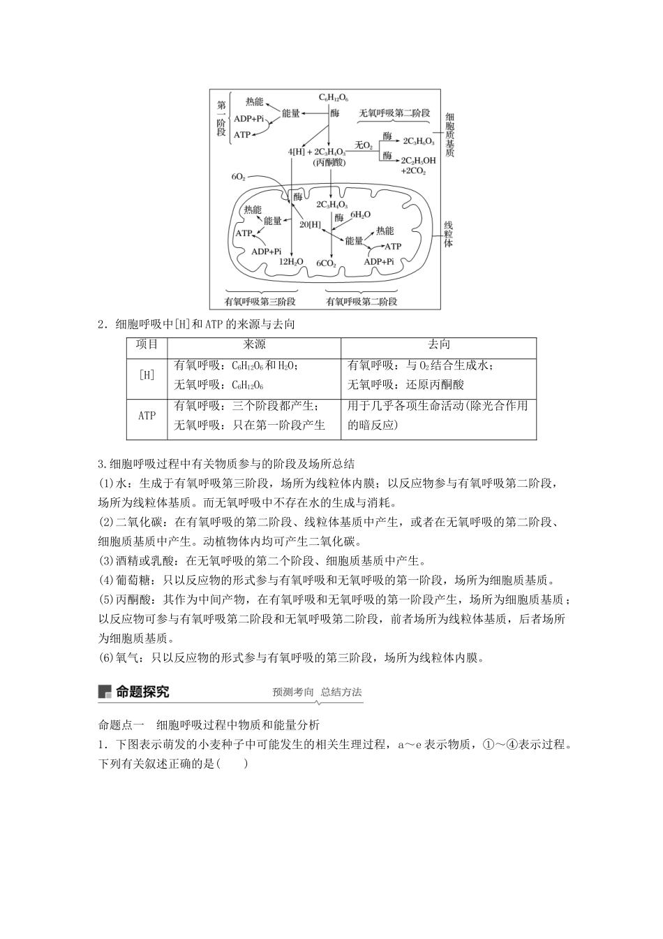 高考生物大一轮复习 第三单元 细胞的能量供应和利用 第8讲 细胞呼吸学案-人教版高三全册生物学案_第3页