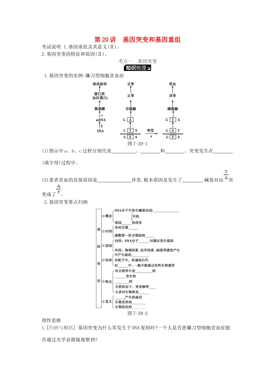 高考生物一轮复习 第7单元 变异、育种与进化 第20讲 基因突变和基因重组学案 苏教版-苏教版高三全册生物学案_第1页