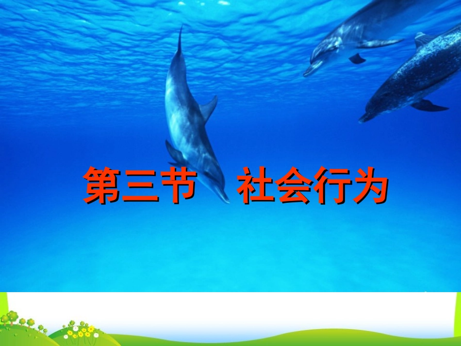 第三节社会行为_第1页