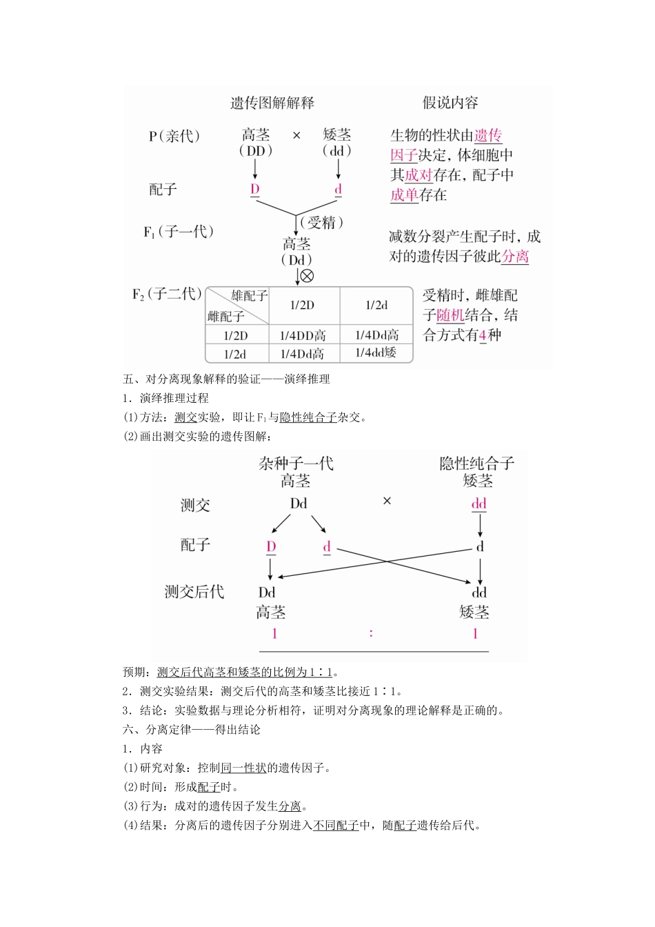 （全国版）高考生物一轮复习 第15讲 基因的分离定律培优学案-人教版高三全册生物学案_第3页