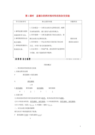 高中生物 第1章 遗传因子的发现 第2节 第1课时 孟德尔的两对相对性状的杂交实验学案 新人教版必修2-新人教版高一必修2生物学案