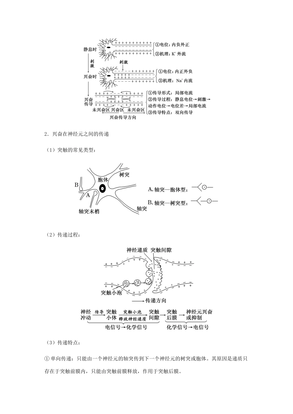 （全国通用）高考生物总复习《神经调节》专题突破学案-人教版高三全册生物学案_第3页