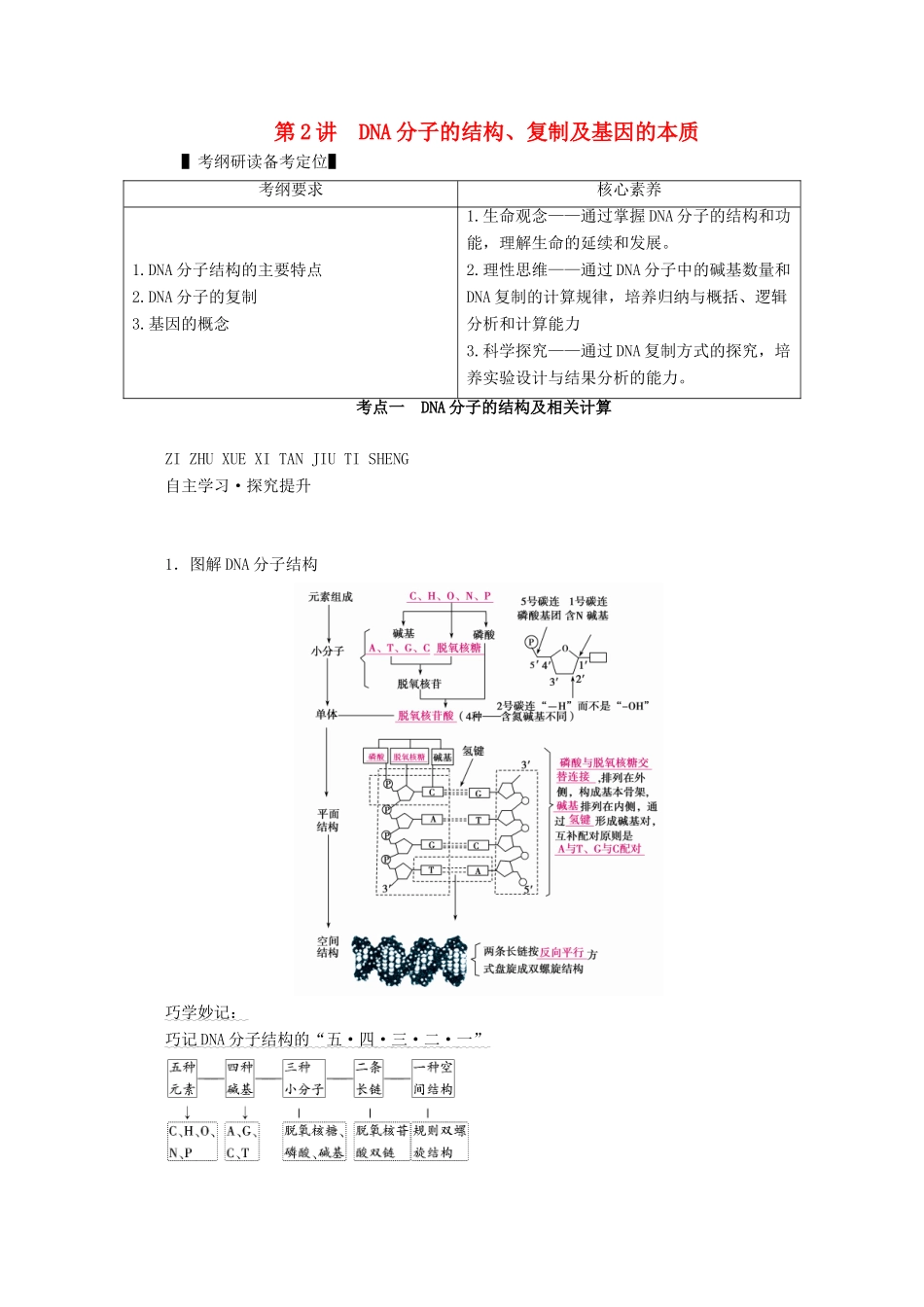 （新高考）高考生物一轮复习 必修部分 模块2 遗传与进化 第2单元 遗传的物质基础 第2讲 DNA分子的结构、复制及基因的本质学案 新人教版-新人教版高三必修生物学案_第1页