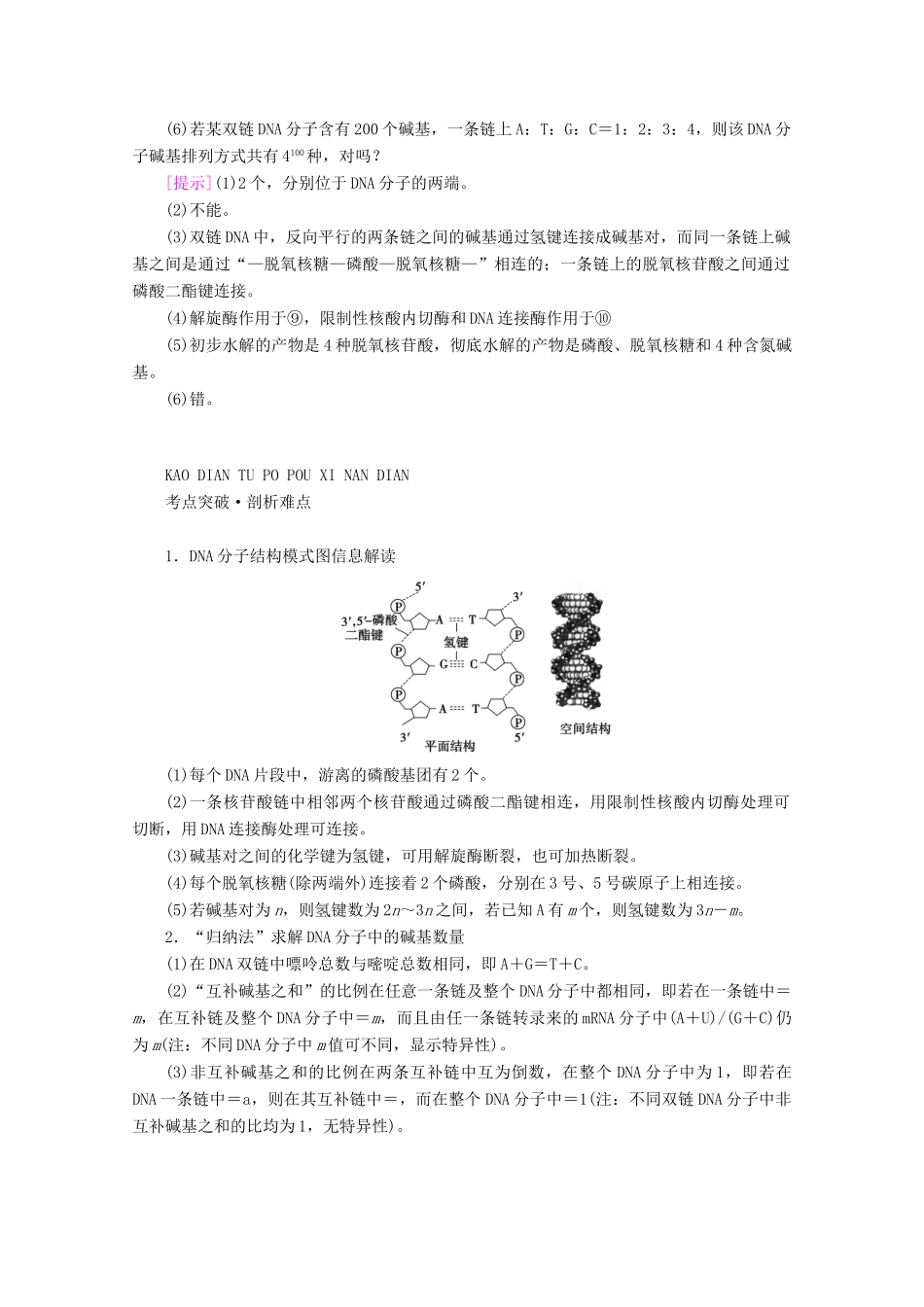 （新高考）高考生物一轮复习 必修部分 模块2 遗传与进化 第2单元 遗传的物质基础 第2讲 DNA分子的结构、复制及基因的本质学案 新人教版-新人教版高三必修生物学案_第3页