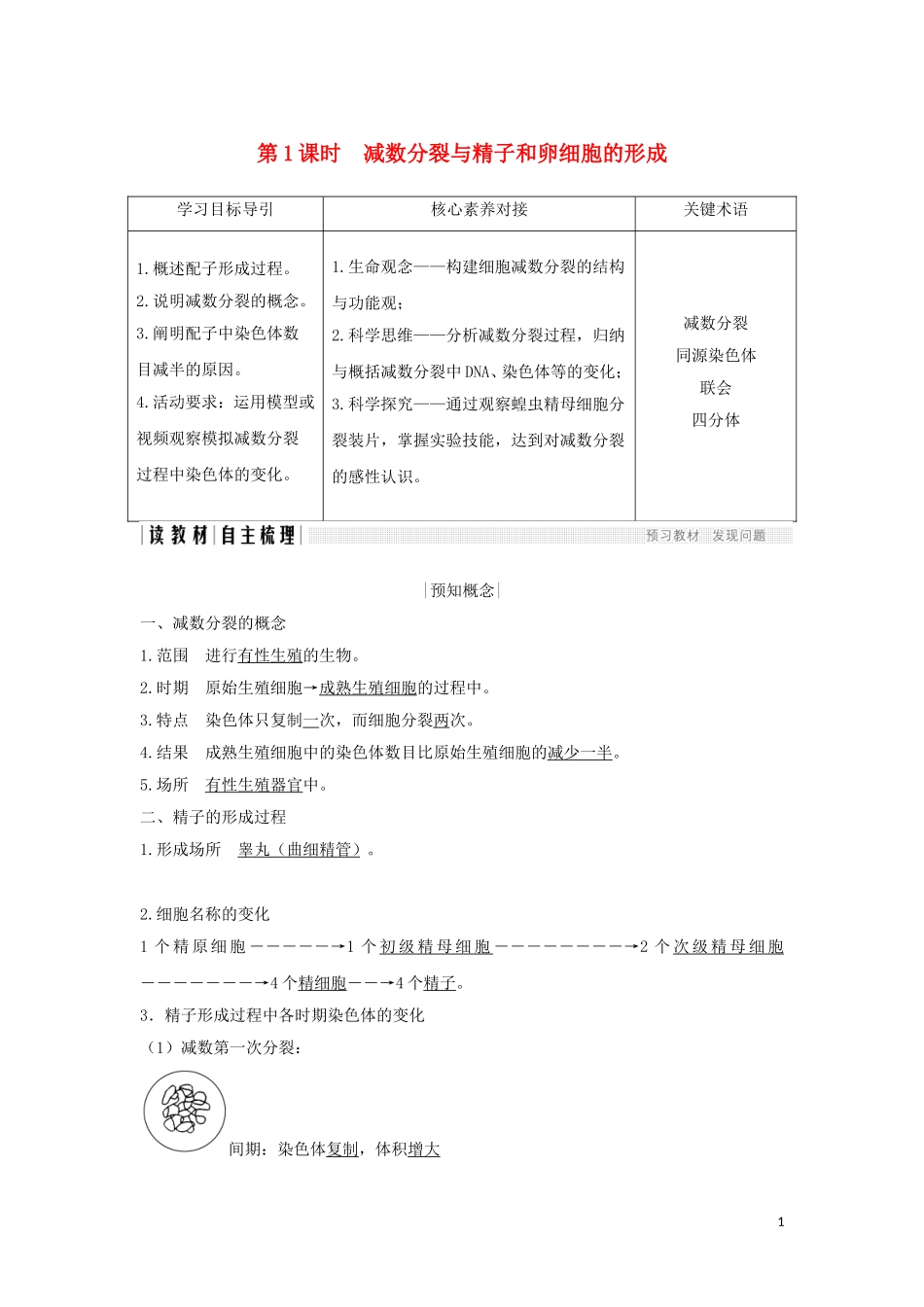高中生物 第2章 基因和染色体的关系 第1节 第1课时 减数分裂与精子和卵细胞的形成学案 新人教版必修2-新人教版高一必修2生物学案_第1页