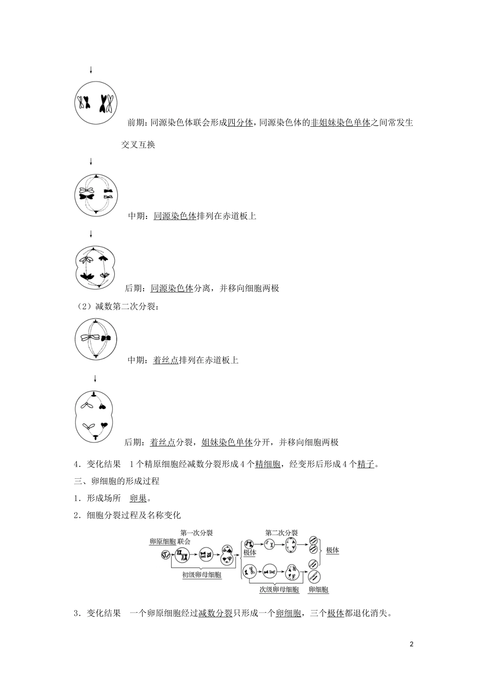 高中生物 第2章 基因和染色体的关系 第1节 第1课时 减数分裂与精子和卵细胞的形成学案 新人教版必修2-新人教版高一必修2生物学案_第2页