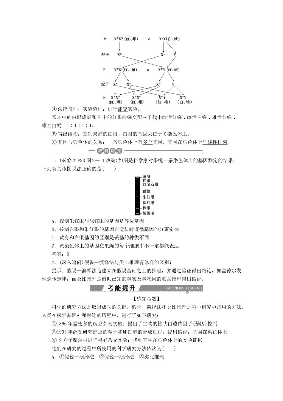 （全国）高考生物大一轮复习 第五单元 遗传的基本规律与伴性遗传 第20讲 基因在染色体上、伴性遗传学案-人教版高三全册生物学案_第2页