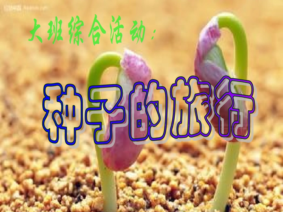 大班科学课件：种子的旅行_第1页
