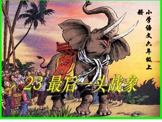 最后一头战象正式