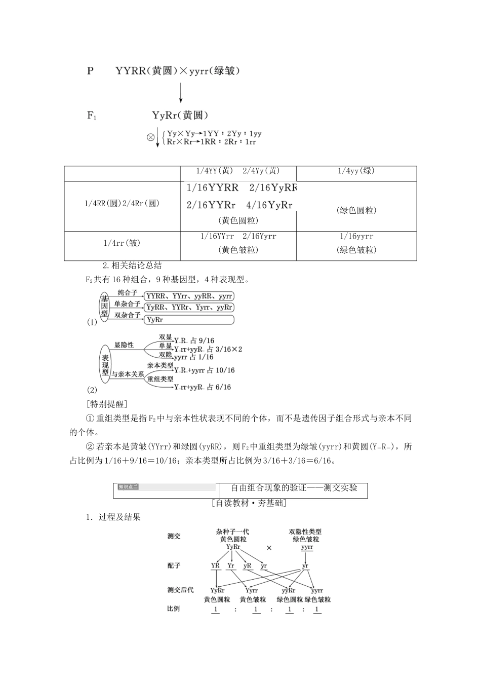 高中生物 第1章 遗传因子的发现 第2节 孟德尔的豌豆杂交实验（二）学案 新人教版必修2-新人教版高一必修2生物学案_第3页