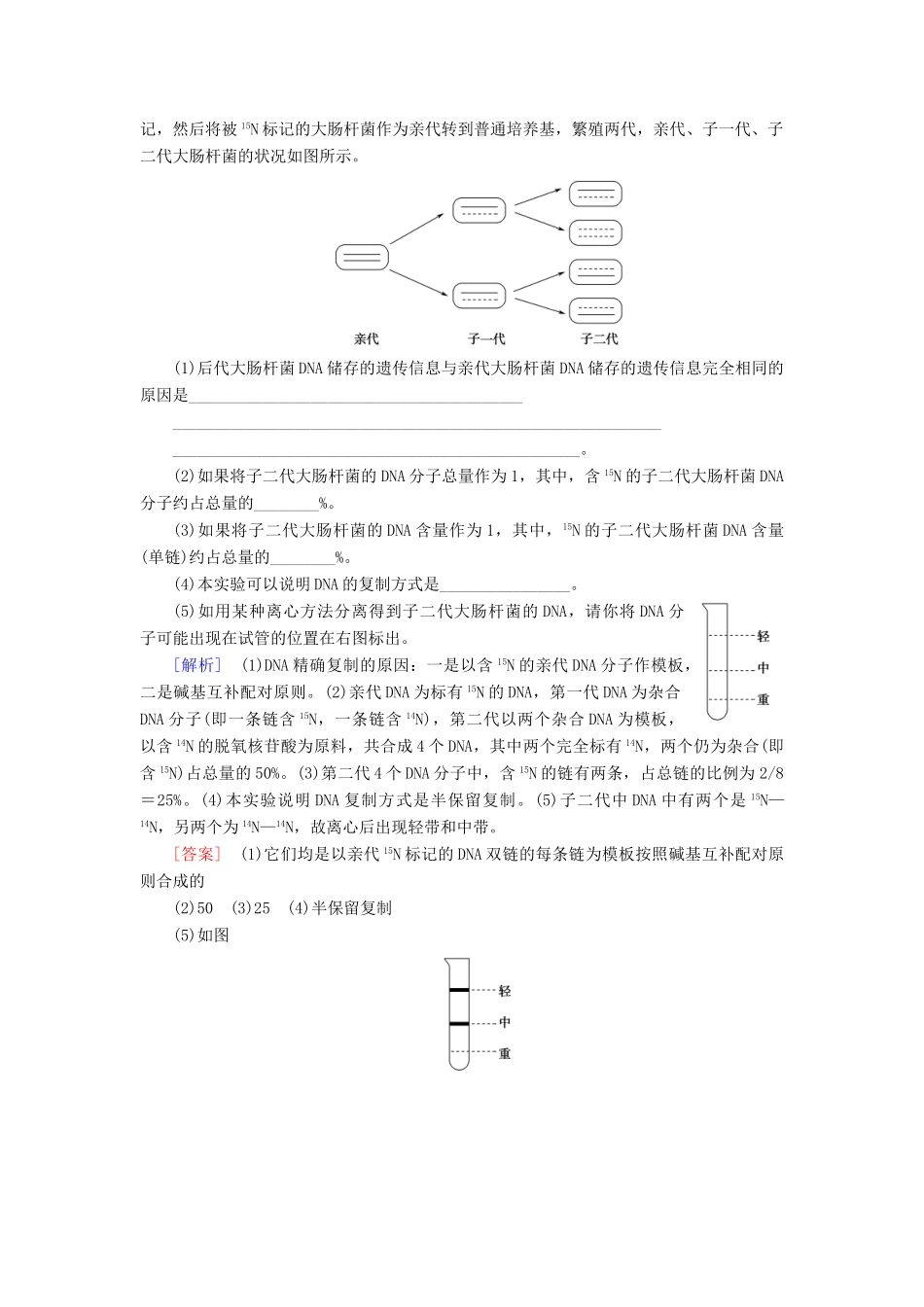 高中生物 第4章 遗传的分子基础 微专题突破 DNA和RNA中碱基的相关计算学案 苏教版必修2-苏教版高一必修2生物学案_第3页