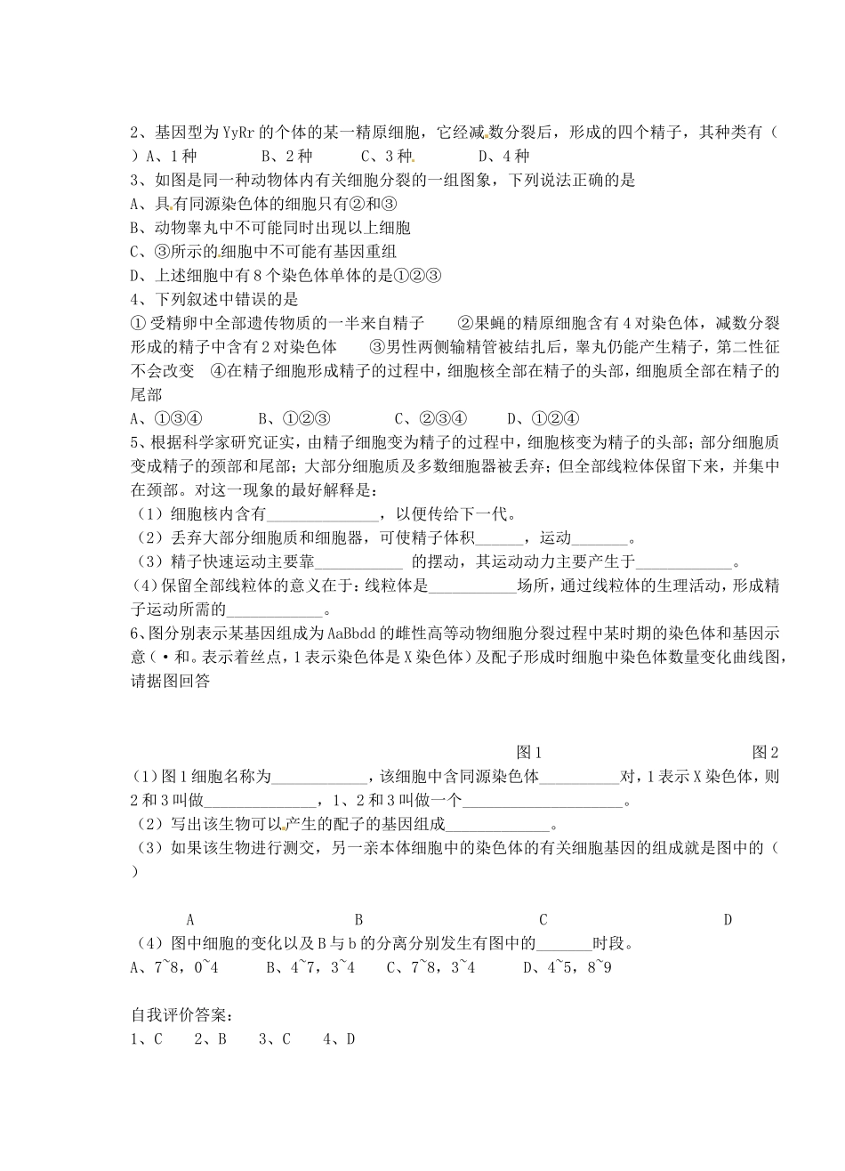 高考生物 第五章 第一节 减数分裂与有性生殖细胞的形成学案-人教版高三全册生物学案_第2页