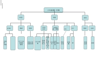 体育六年级第一学期知识结构图