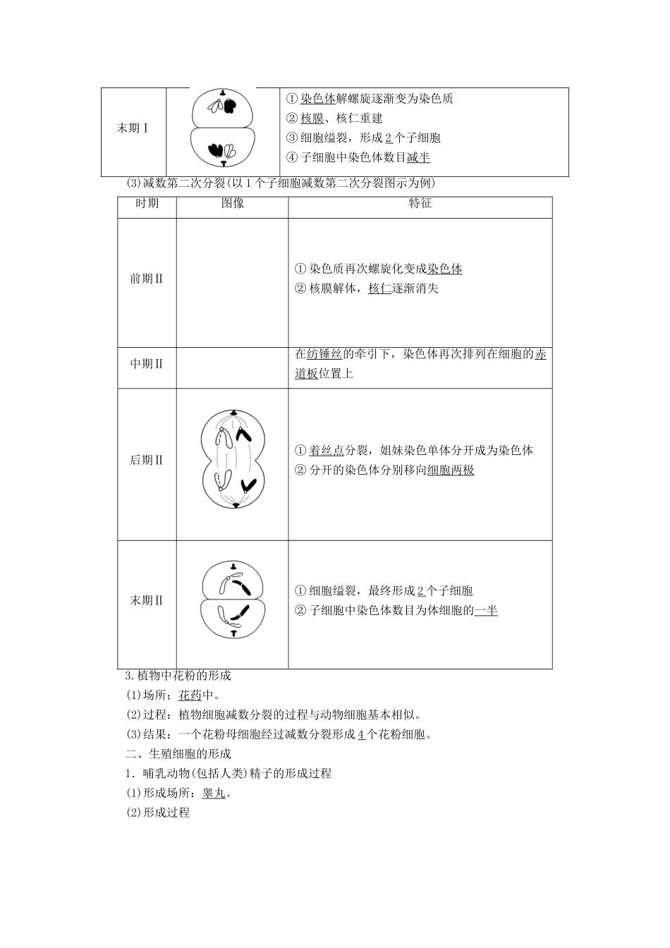 高中生物 第2章 减数分裂和有性生殖 第1节 减数分裂学案 苏教版必修2-苏教版高一必修2生物学案_第2页