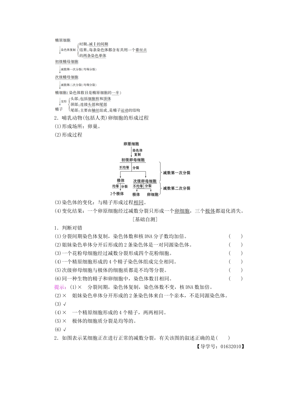 高中生物 第2章 减数分裂和有性生殖 第1节 减数分裂学案 苏教版必修2-苏教版高一必修2生物学案_第3页