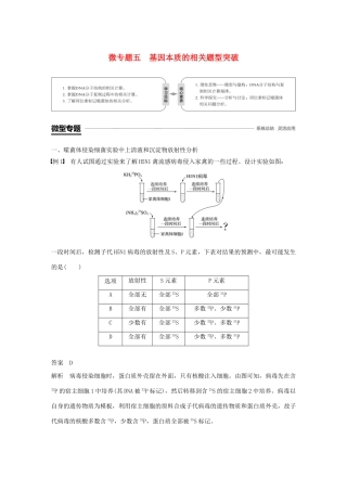 高中生物 第3章 基因的本质 微专题五 基因本质的相关题型突破学案 新人教版必修2-新人教版高一必修2生物学案