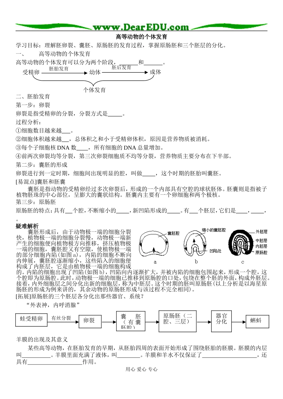 高等动物的个体发育_第1页