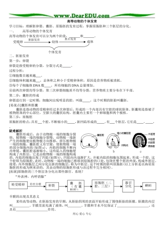 高等动物的个体发育