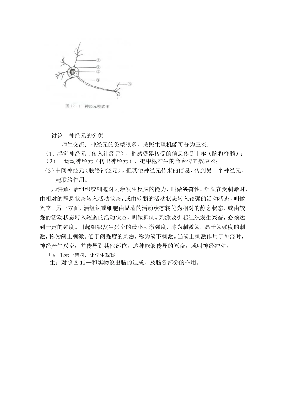 第二节神经调节_第2页
