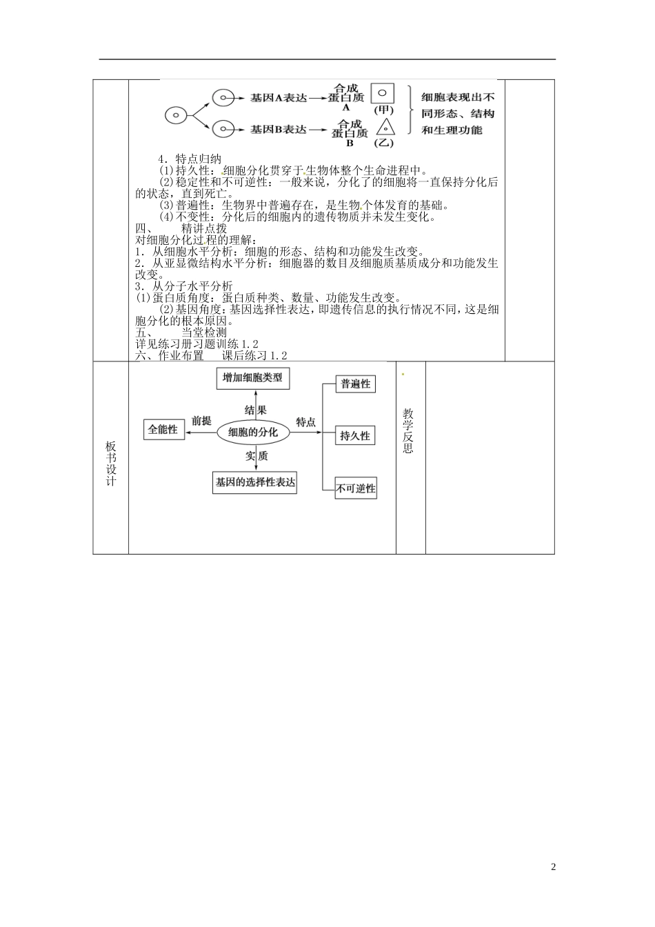 高中生物 6.2细胞的分化导学案2 新人教版必修1-新人教版高一必修1生物学案_第2页