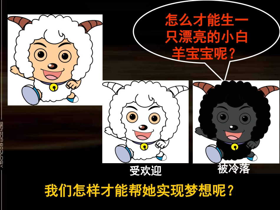 细胞核——生命系统的控制中心_第2页