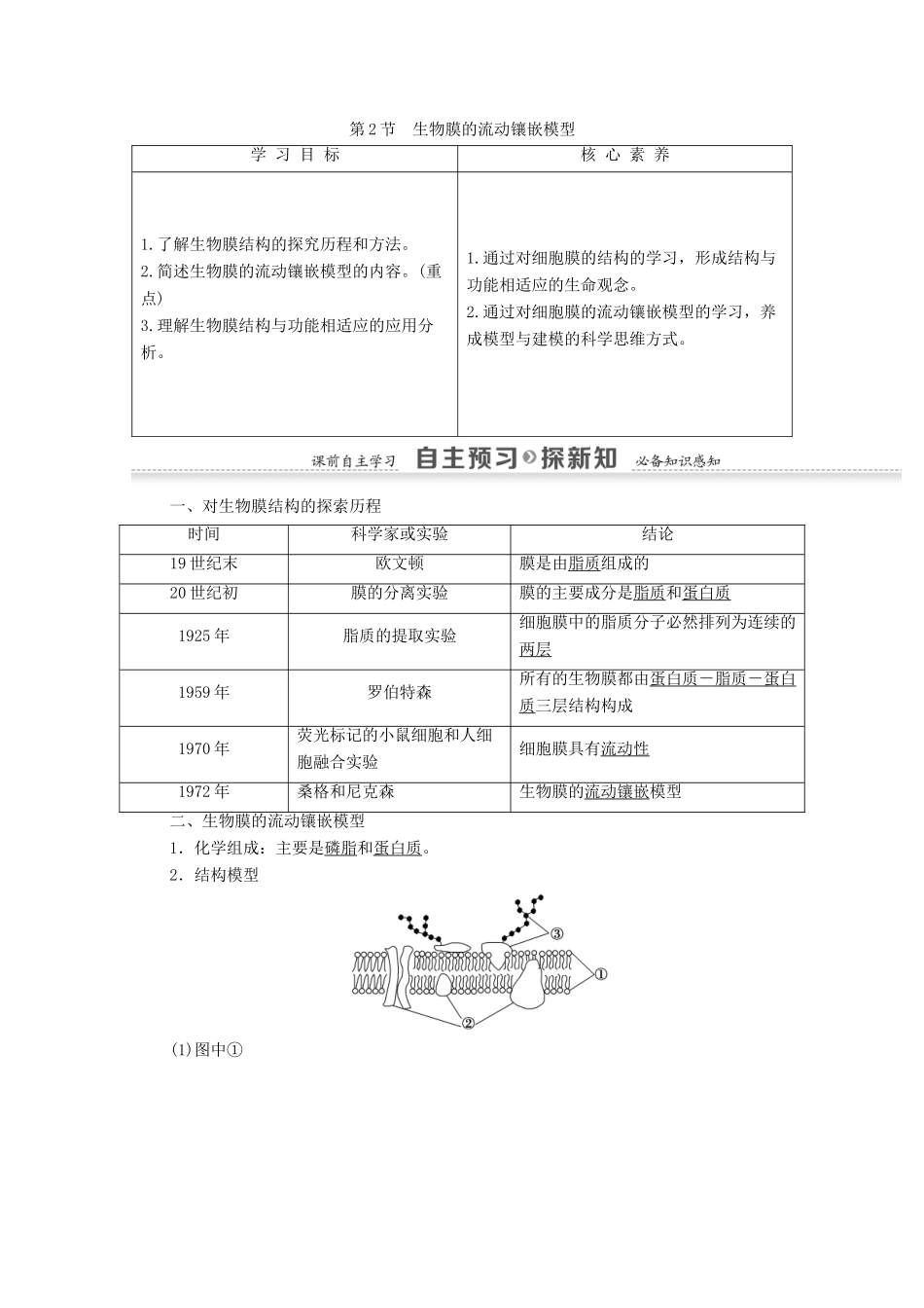 高中生物 第4章 细胞的物质输入和输出 第2节 生物膜的流动镶嵌模型学案 新人教版必修1-新人教版高一必修1生物学案_第1页